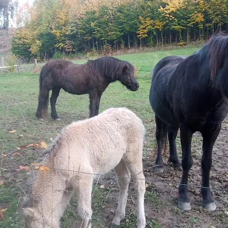 Exklusive 'agger-blick' Mit Grosser Seeblick-terrasse & Sauna * Gummersbach