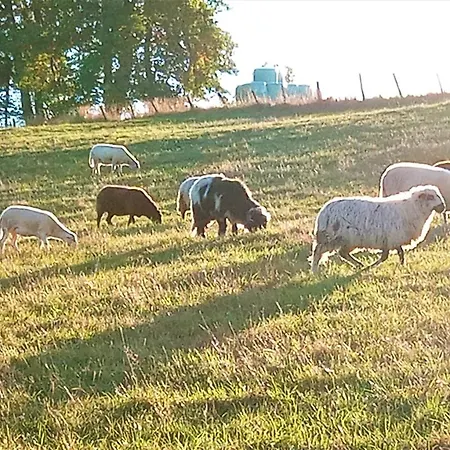 Exklusive 'agger-blick' Mit Grosser Seeblick-terrasse & Sauna Gummersbach