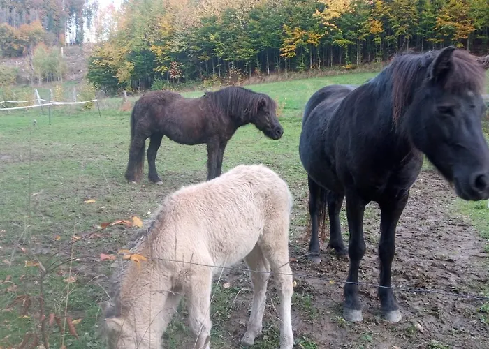 Exklusive 'agger-blick' Mit Grosser Seeblick-terrasse & Sauna * Gummersbach
