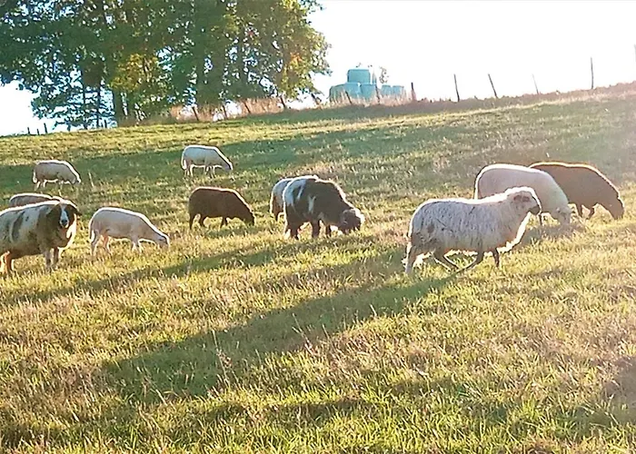 Exklusive 'agger-blick' Mit Grosser Seeblick-terrasse & Sauna Gummersbach